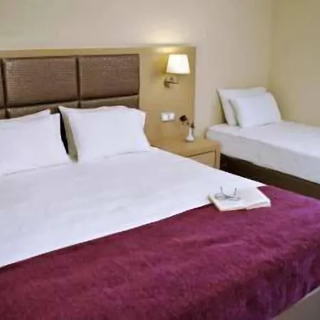 Plessas Palace 3*