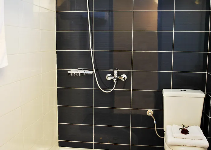 Plessas Palace מלון דירות 3*