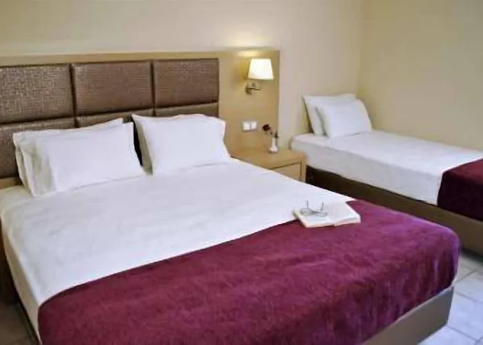Plessas Palace 3*