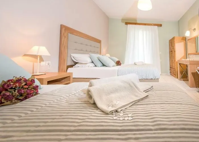 Plessas Palace מלון דירות 3*