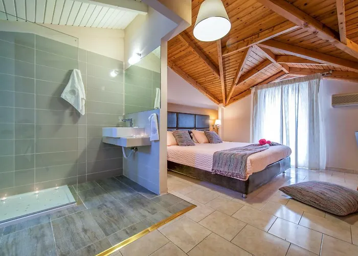 Plessas Palace מלון דירות 3*